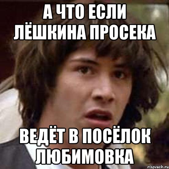 а что если лёшкина просека ведёт в посёлок любимовка, Мем А что если (Киану Ривз)