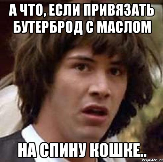 а что, если привязать бутерброд с маслом на спину кошке.., Мем А что если (Киану Ривз)