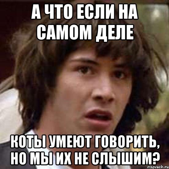 а что если на самом деле коты умеют говорить, но мы их не слышим?, Мем А что если (Киану Ривз)