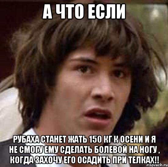 а что если рубаха станет жать 150 кг к осени и я не смогу ему сделать болевой на ногу , когда захочу его осадить при телках!!, Мем А что если (Киану Ривз)