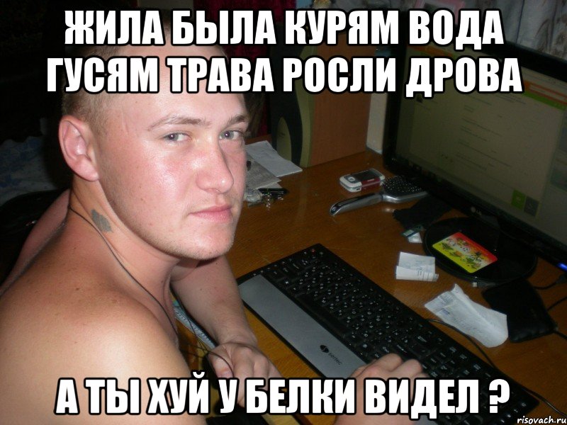 жила была курям вода гусям трава росли дрова а ты хуй у белки видел ?, Мем а ты хуй у белки видел 