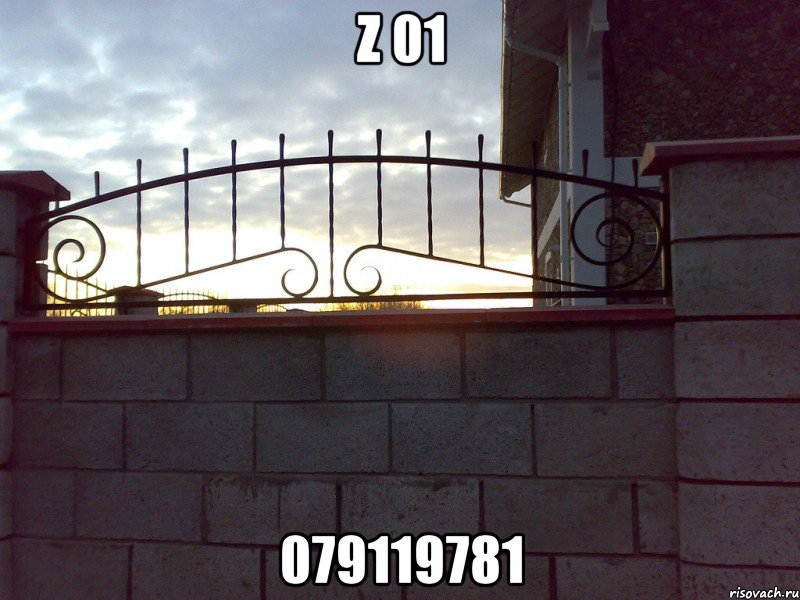 z 01 079119781, Мем A