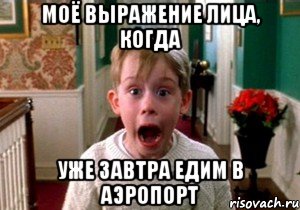 моё выражение лица, когда уже завтра едим в аэропорт, Мем аааа