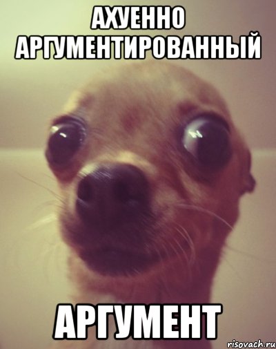 ахуенно аргументированный аргумент