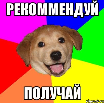 рекоммендуй получай, Мем Advice Dog