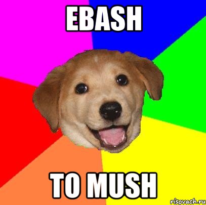 ebash to mush, Мем Advice Dog
