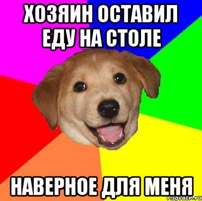 хозяин оставил еду на столе наверное для меня, Мем Advice Dog