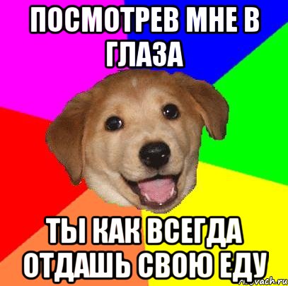 посмотрев мне в глаза ты как всегда отдашь свою еду, Мем Advice Dog