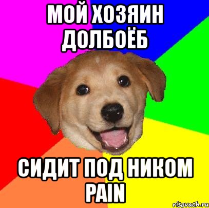 мой хозяин долбоёб сидит под ником pain, Мем Advice Dog