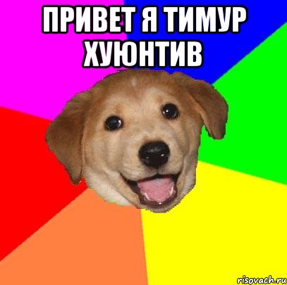 привет я тимур хуюнтив , Мем Advice Dog