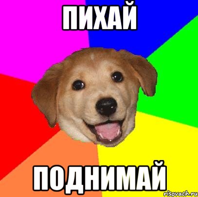 пихай поднимай, Мем Advice Dog