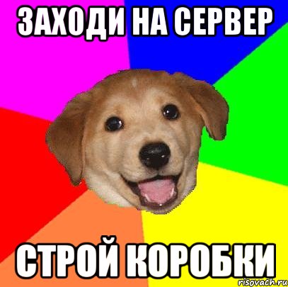 заходи на сервер строй коробки, Мем Advice Dog