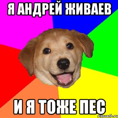 я андрей живаев и я тоже пес, Мем Advice Dog