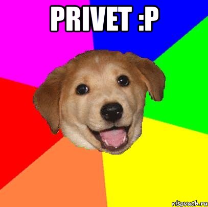 privet :p , Мем Advice Dog