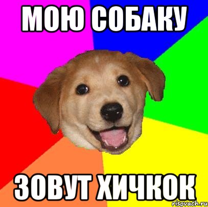 мою собаку зовут хичкок, Мем Advice Dog