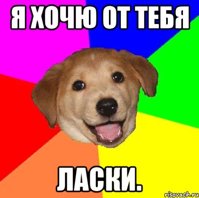 я хочю от тебя ласки., Мем Advice Dog