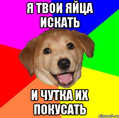 я твои яйца искать и чутка их покусать, Мем Advice Dog