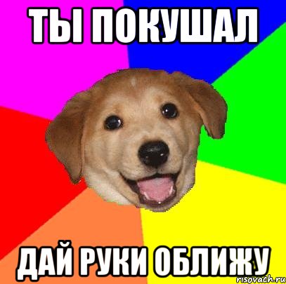 ты покушал дай руки оближу, Мем Advice Dog