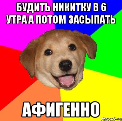 будить никитку в 6 утра а потом засыпать афигенно, Мем Advice Dog