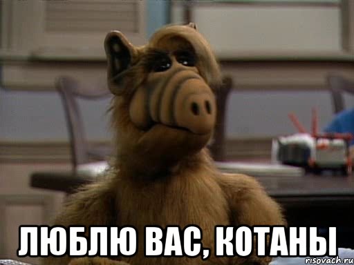  люблю вас, котаны, Мем Альф
