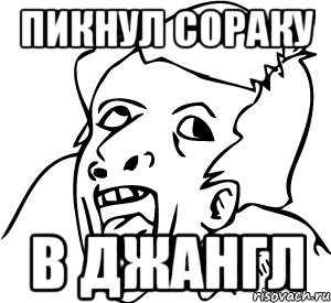пикнул сораку в джангл, Мем апр