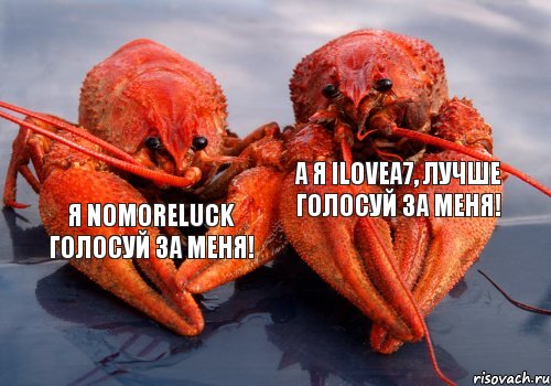 Я NoMoreLuck голосуй за меня! А я iLoveA7, лучше голосуй за меня!, Комикс апролд