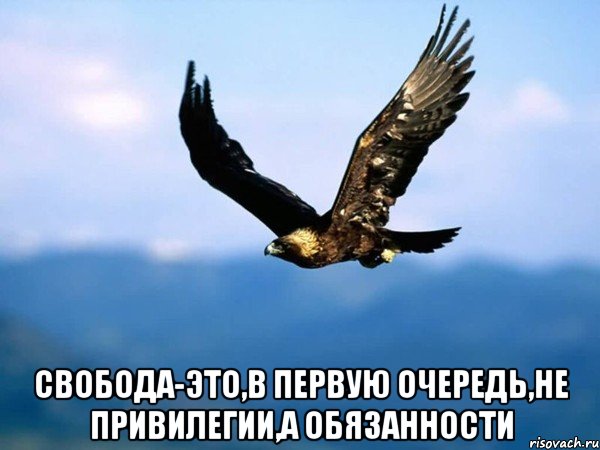  свобода-это,в первую очередь,не привилегии,а обязанности, Мем аптиап
