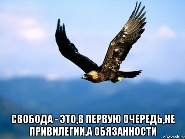  свобода - это,в первую очередь,не привилегии,а обязанности, Мем аптиап