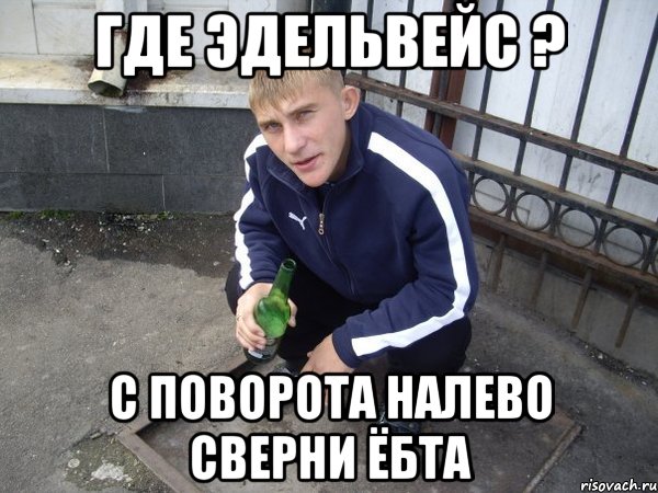 где эдельвейс ? с поворота налево сверни ёбта