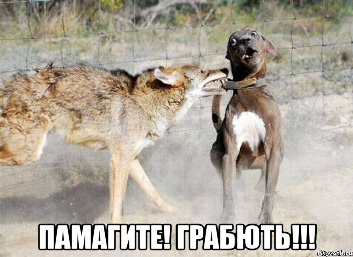  памагите! грабють!!!, Мем атака