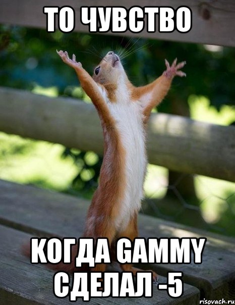 то чувство koгда gammy сделал -5, Мем    белка молится