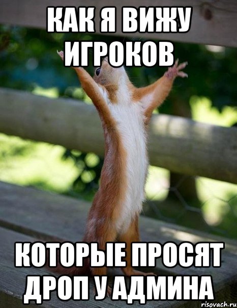 как я вижу игроков которые просят дроп у админа, Мем    белка молится