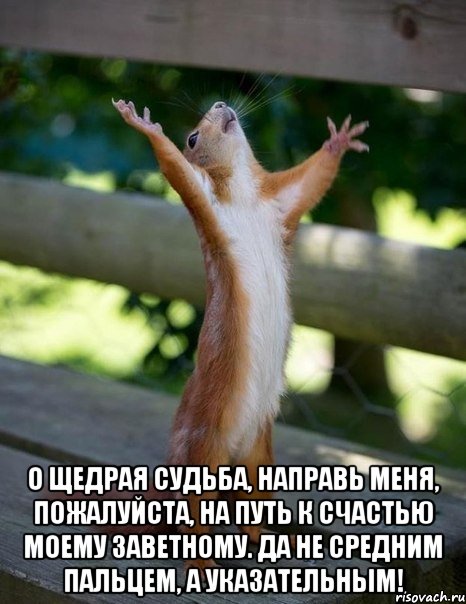  о щедрая судьба, направь меня, пожалуйста, на путь к счастью моему заветному. да не средним пальцем, а указательным!, Мем    белка молится