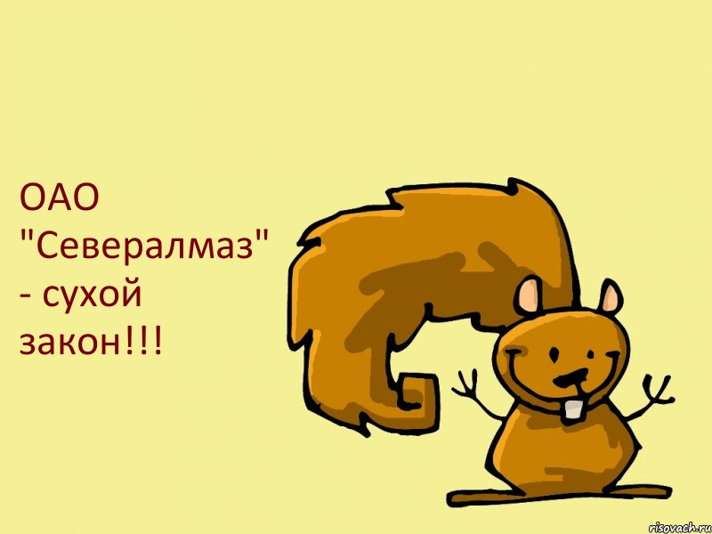 ОАО "Севералмаз" - сухой закон!!!, Комикс  белка