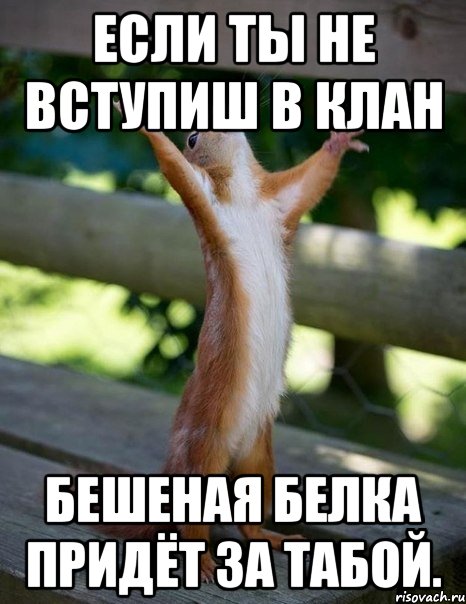 если ты не вступиш в клан бешеная белка придёт за табой., Мем    белка молится