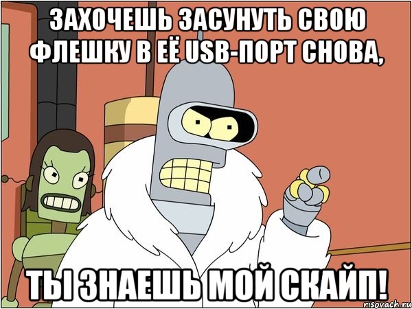 захочешь засунуть свою флешку в её usb-порт снова, ты знаешь мой скайп!, Мем Бендер