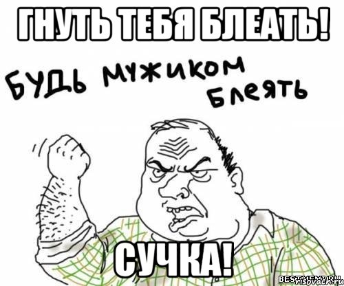 гнуть тебя блеать! сучка!