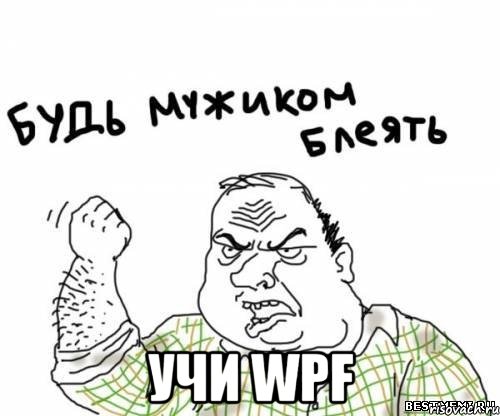  учи wpf, Мем блять