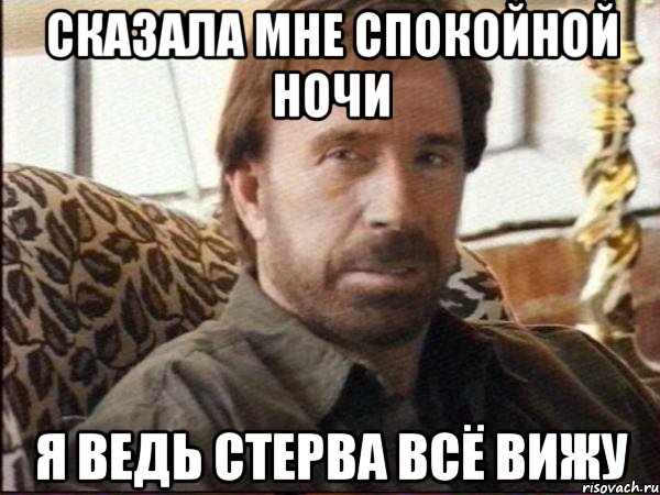 сказала мне спокойной ночи я ведь стерва всё вижу