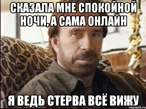 сказала мне спокойной ночи, а сама онлайн я ведь стерва всё вижу