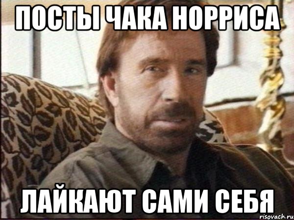посты чака норриса лайкают сами себя