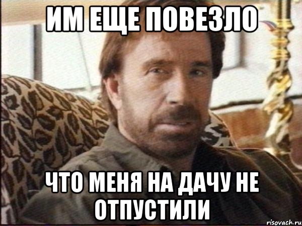 им еще повезло что меня на дачу не отпустили