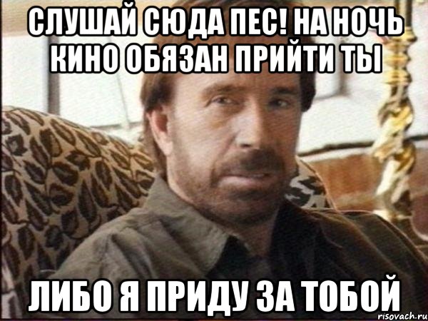 слушай сюда пес! на ночь кино обязан прийти ты либо я приду за тобой