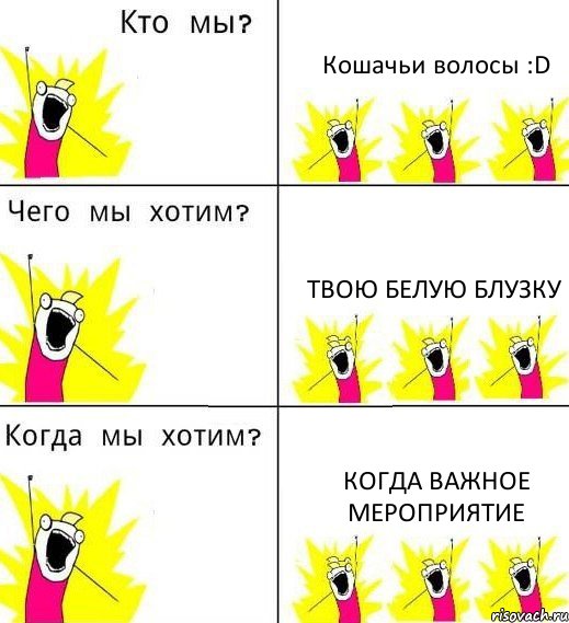 Кошачьи волосы :D Твою белую блузку Когда важное мероприятие, Комикс Что мы хотим