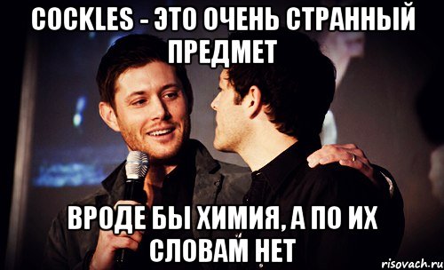 cockles - это очень странный предмет вроде бы химия, а по их словам нет, Мем Cockles - очень странный предмет