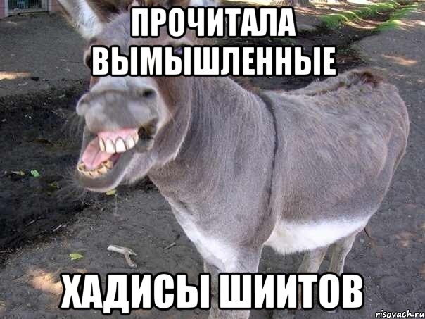 прочитала вымышленные хадисы шиитов, Мем cvdv
