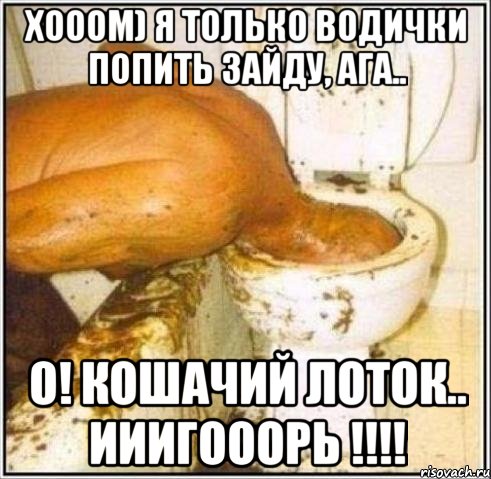 хооом) я только водички попить зайду, ага.. о! кошачий лоток.. ииигооорь !!!, Мем Дайвер