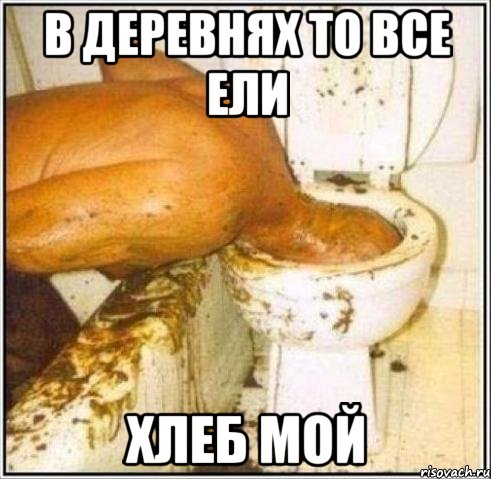 в деревнях то все ели хлеб мой, Мем Дайвер