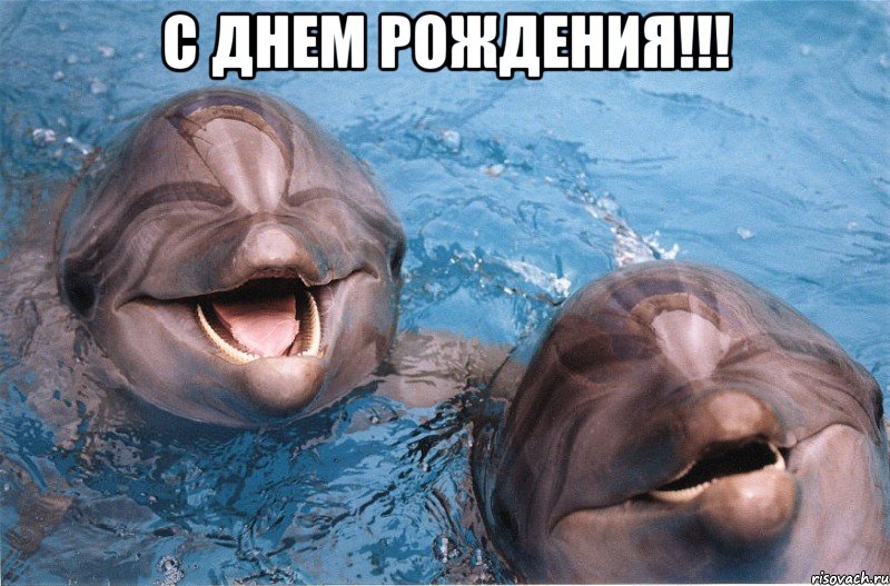 с днем рождения!!! 