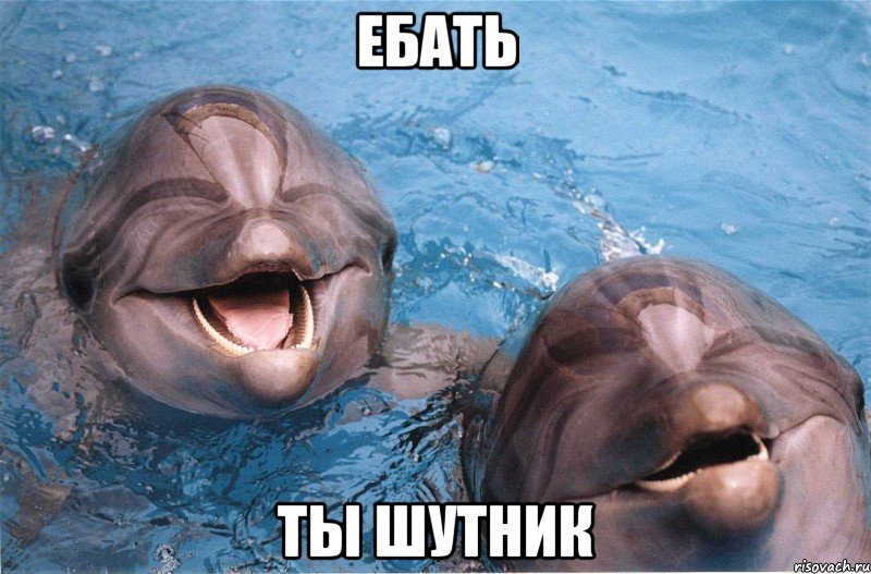 ебать ты шутник